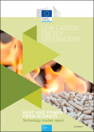 Heat and Power from Biomass: Technology Market Report
