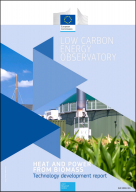 Heat and Power from Biomass: Technology Development Report