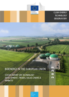 Bioenergy in the European Union